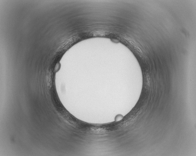 X0000116150311200912211514