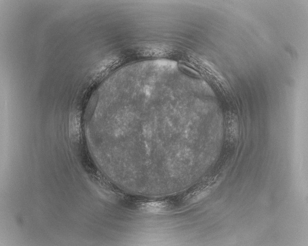 X0000116150312200912211514