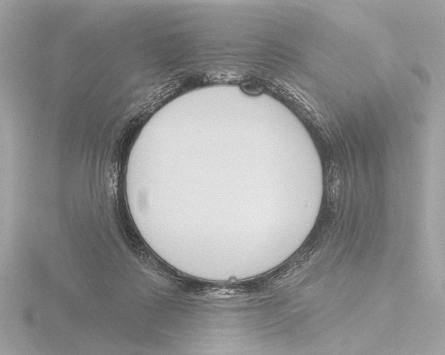 X0000116150315200912211514