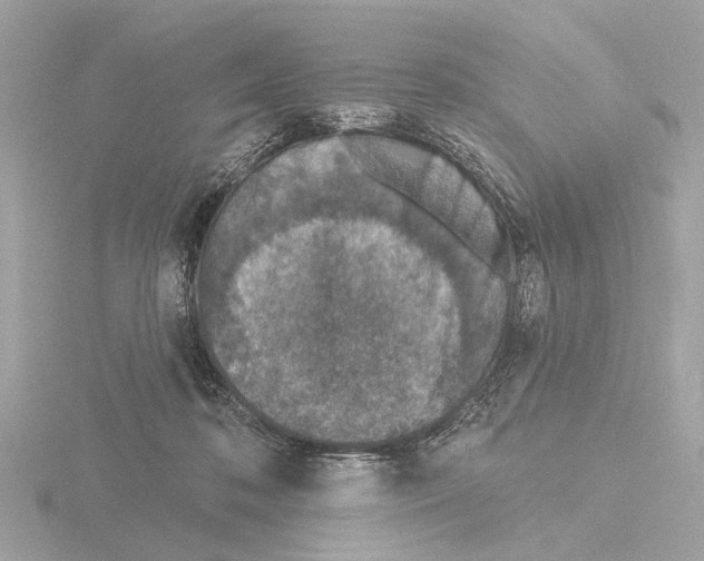 X0000116150316200912211514