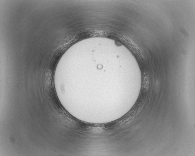 X0000116150318200912211514