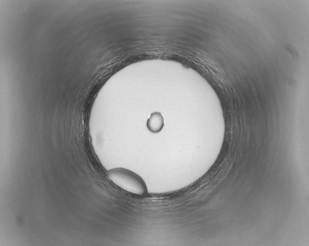 X0000116150320200912211514