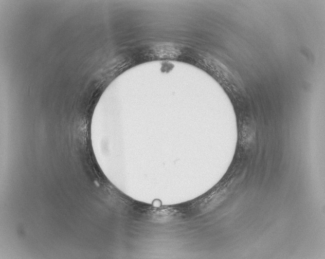 X0000116150321200912211514