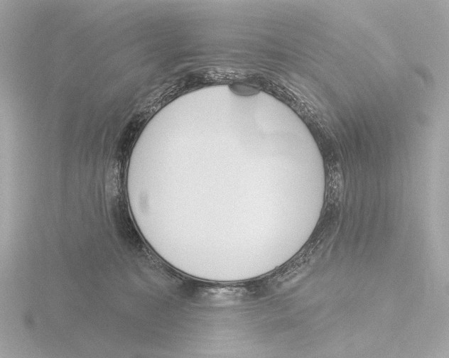 X0000116150323200912211514