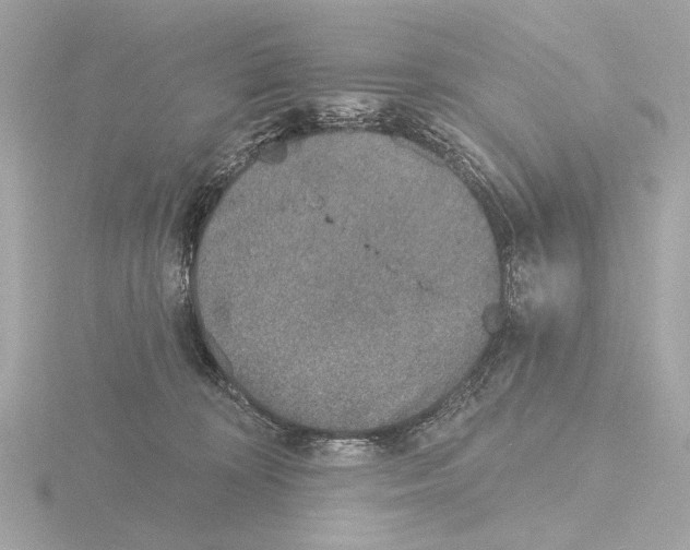 X0000116150324200912211514