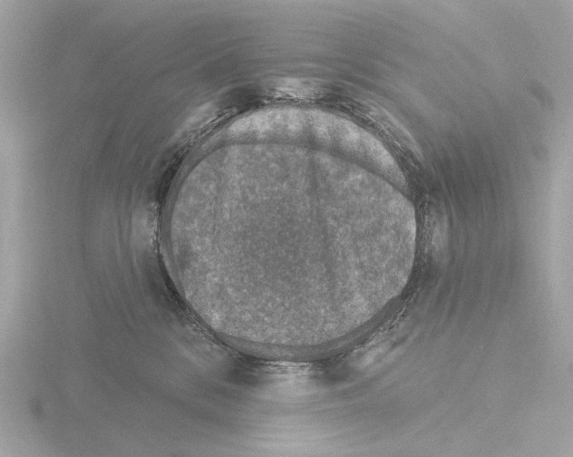 X0000116150328200912211513