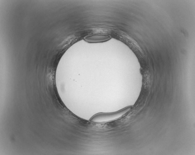 X0000116150329200912211513