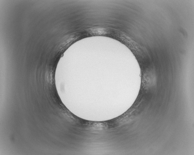 X0000116150330200912211513