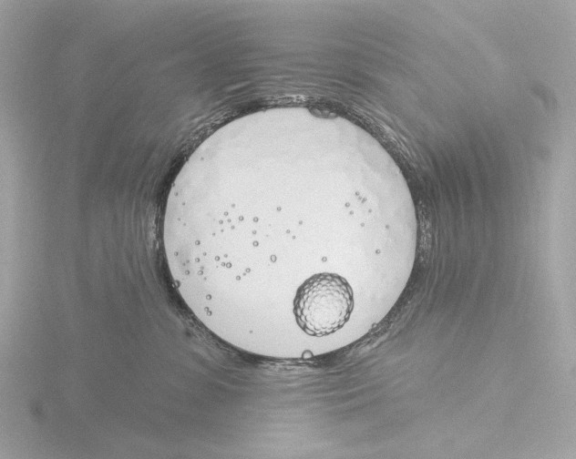 X0000116150331200912211513