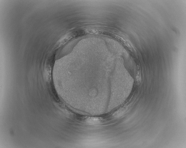 X0000116150332200912211513