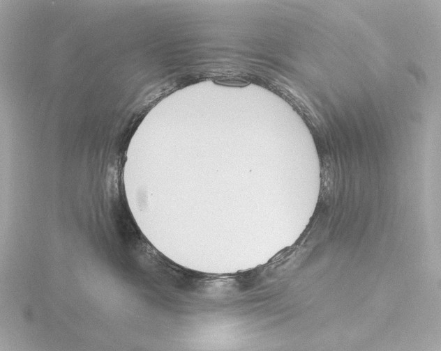 X0000116150333200912211513