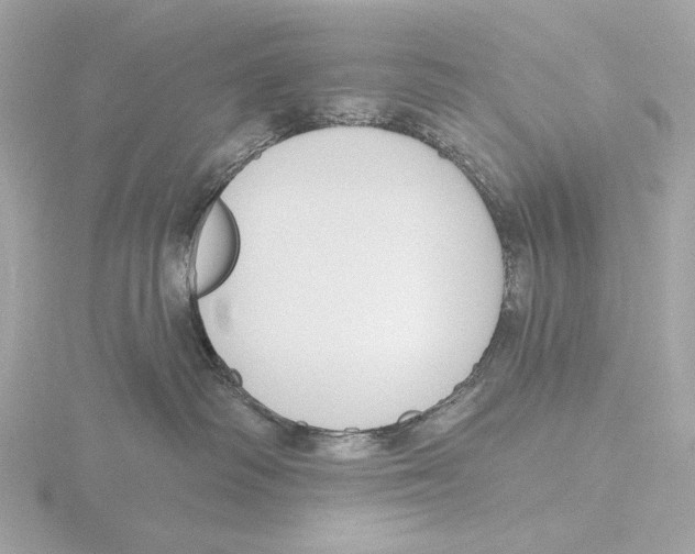 X0000116150334200912211513