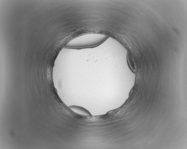 X0000116150335200912211513