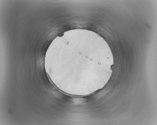 X0000116150336200912211513