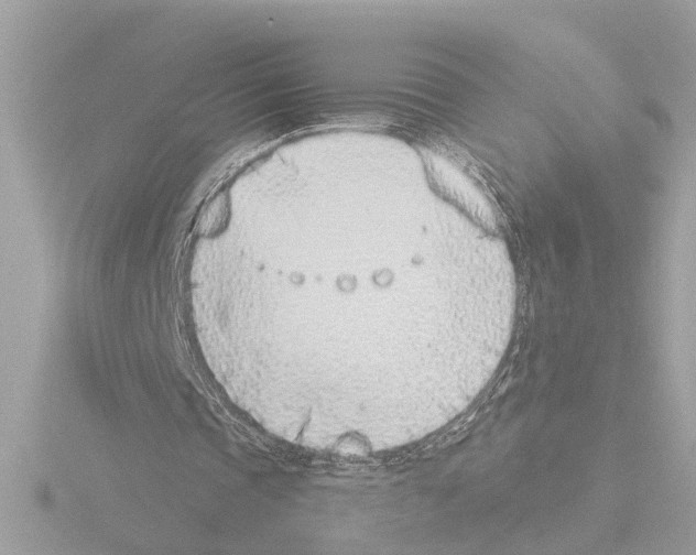 X0000116150337200912211513