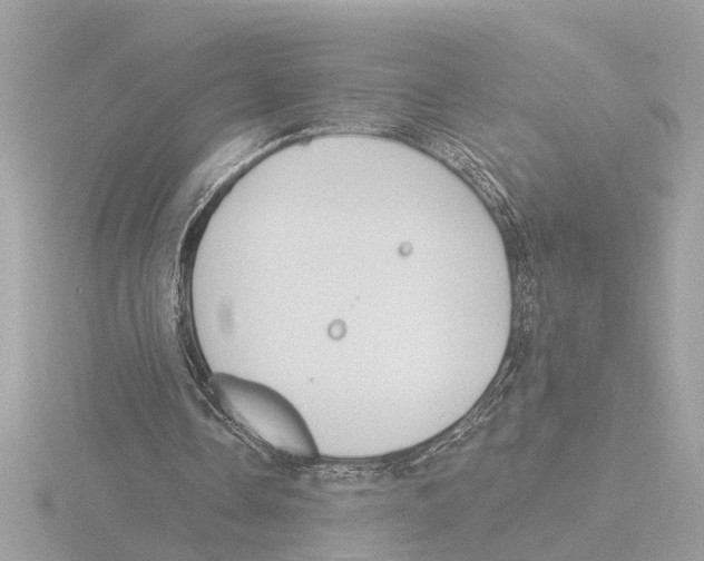 X0000116150338200912211513