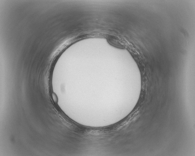 X0000116150341200912211513