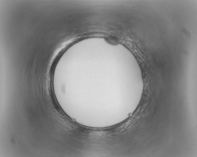 X0000116150342200912211513