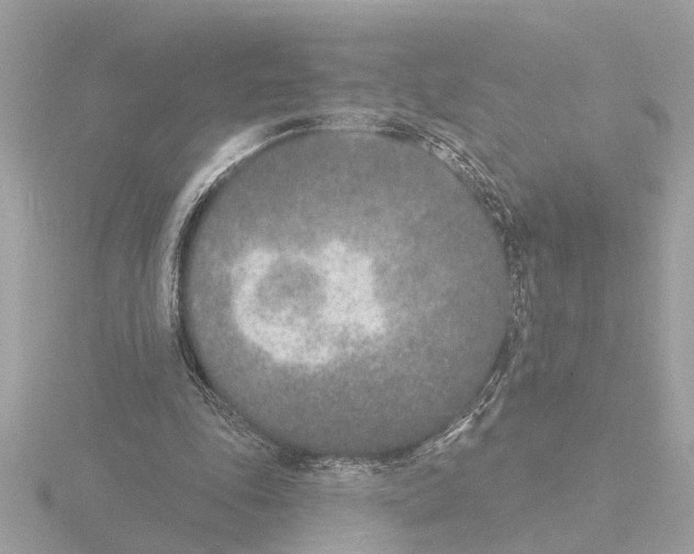 X0000116150343200912211513