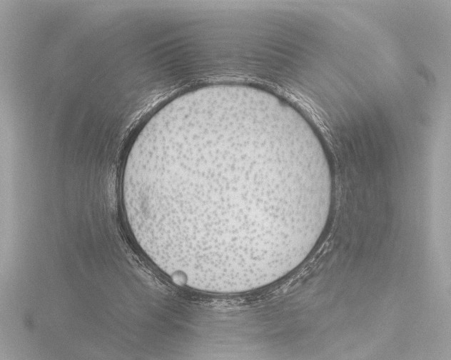 X0000116150345200912211513