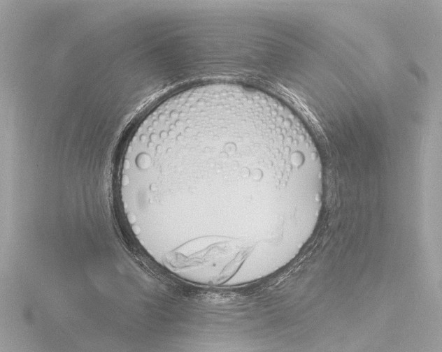 X0000116150346200912211513