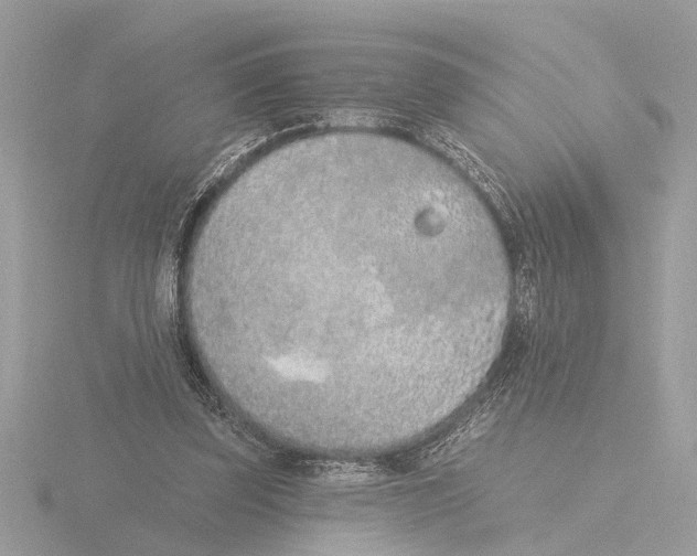 X0000116150347200912211513