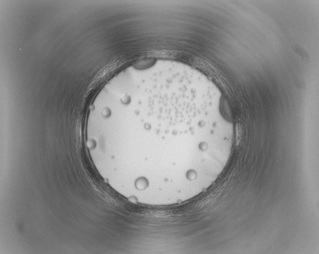 X0000116150349200912211513