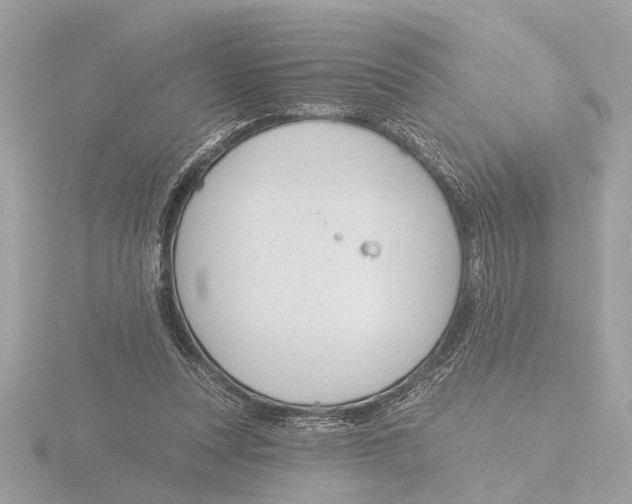 X0000116150351200912211513