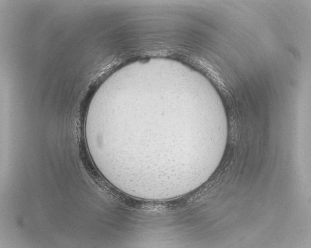 X0000116150354200912211513