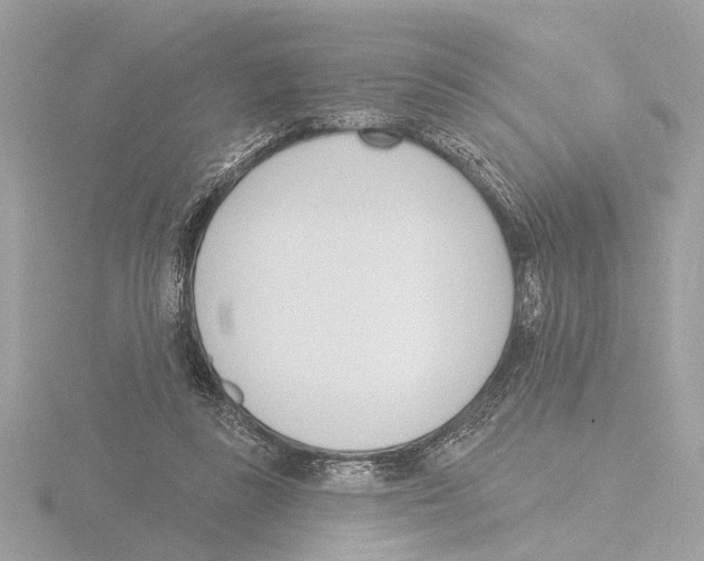 X0000116150355200912211513