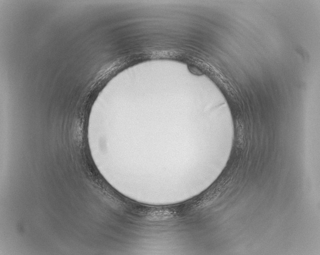 X0000116150357200912211513