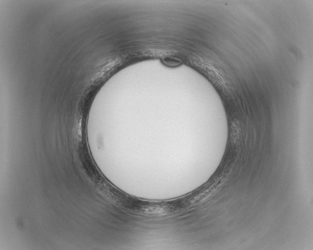 X0000116150358200912211513