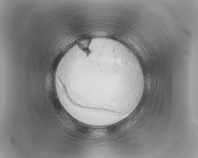 X0000116150359200912211513