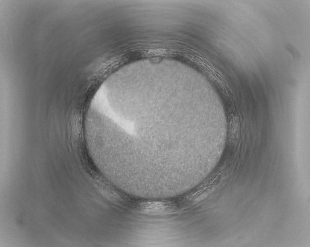 X0000116150361200912211513