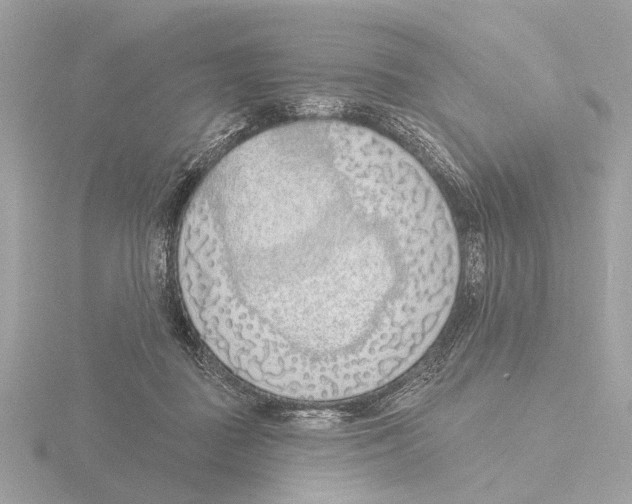 X0000116150363200912211513