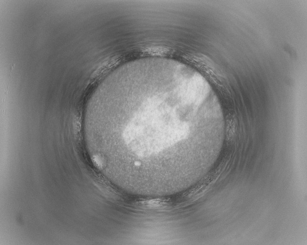 X0000116150365200912211513