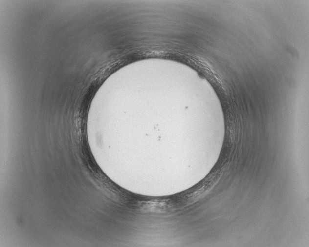 X0000116150366200912211513