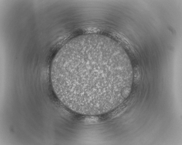 X0000116150369200912211513