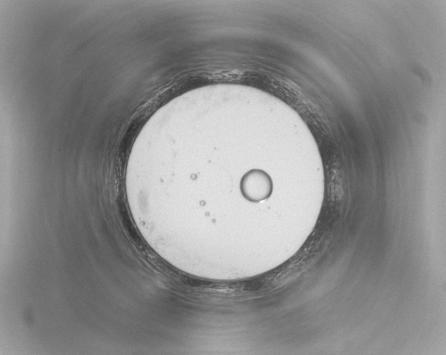 X0000116150370200912211513