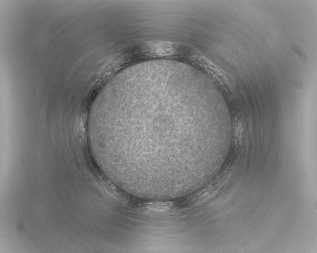 X0000116150373200912211513