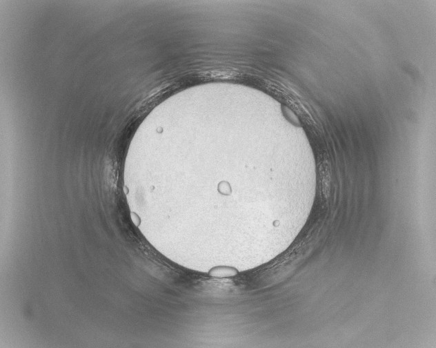 X0000116150374200912211513