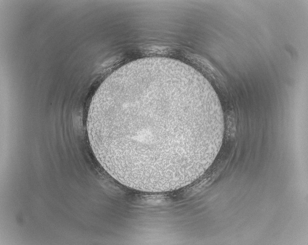 X0000116150377200912211513