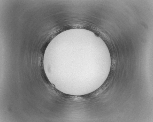 X0000116150379200912211513