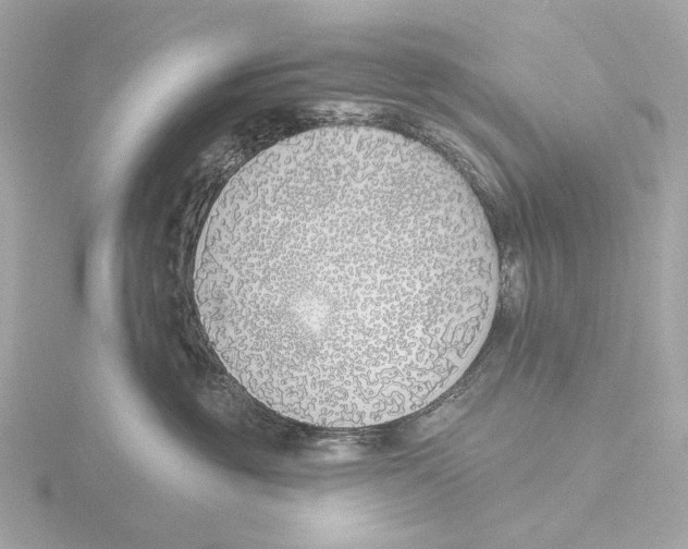 X0000116150381200912211513