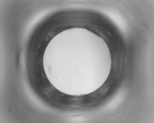 X0000116150383200912211513