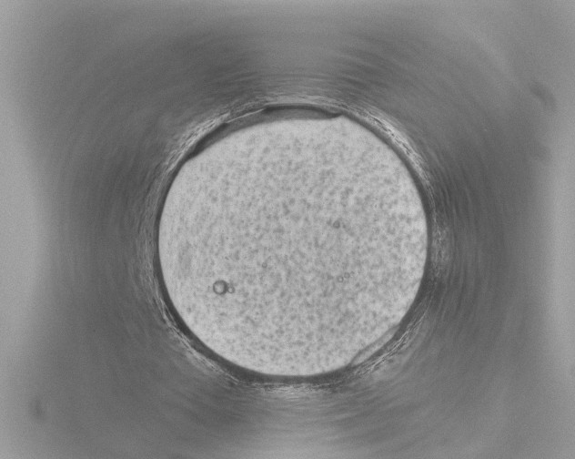 X0000116150385200912211513