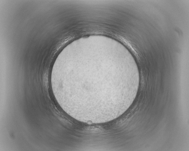 X0000116150386200912211513