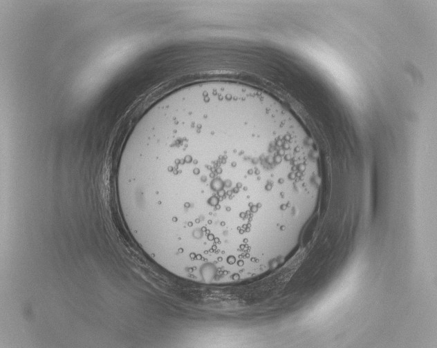 X0000116150387200912211513