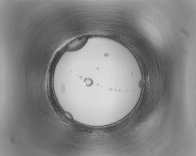 X0000116150388200912211513