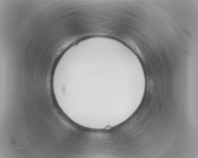 X0000116150389200912211513